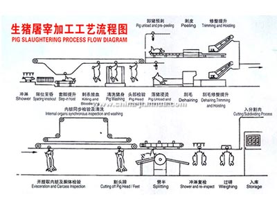 生豬屠宰工藝示意圖